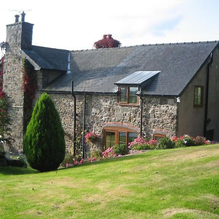 Tan Y Graig Bed & Breakfast Meifod Exterior foto